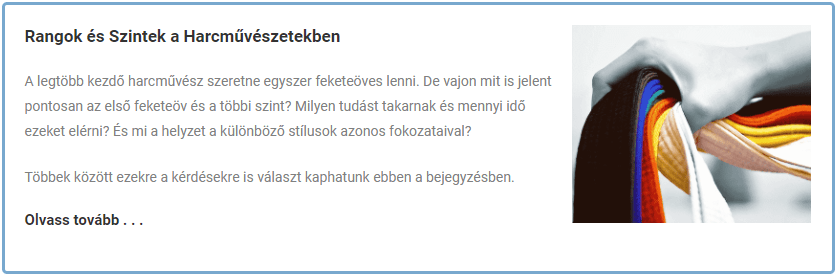 Zenshin Blog - Rangok és a feketeöv