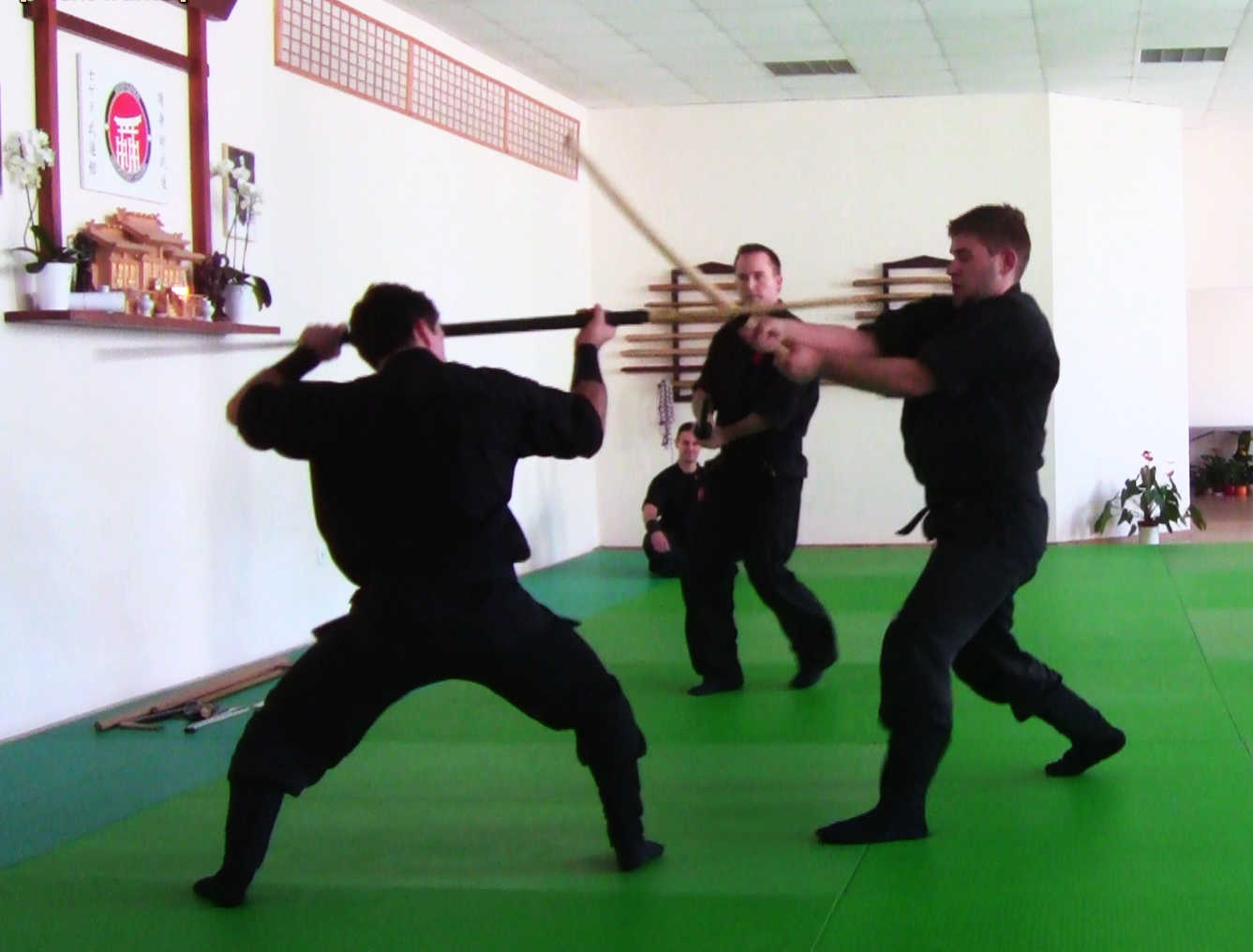 Pécs Harcművészet Önvédelem Küzdősport