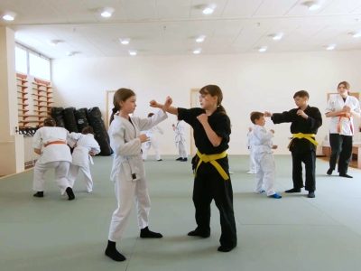 Pécs Harcművészet Önvédelem Küzdősport