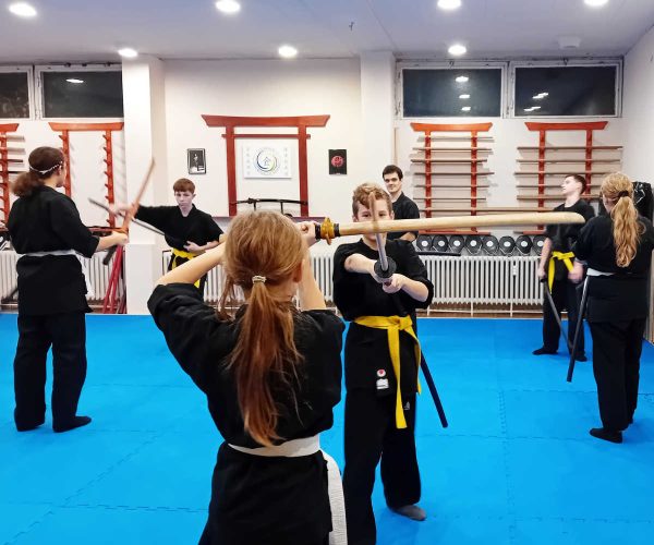 Pécs Harcművészet Önvédelem Küzdősport